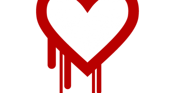 heartbleed copy