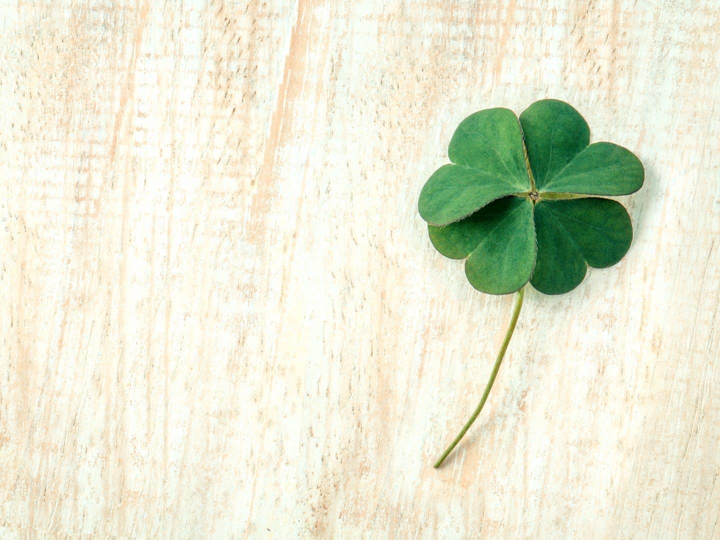 6 St. Patrick’s Day Emails We Love from Target, Bouqs and Chubbies